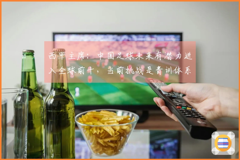 西甲主席：中国足球未来有潜力进入全球前十，当前挑战是青训体系竞争力不足