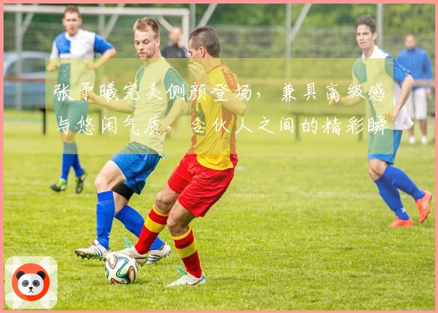 张予曦完美侧颜登场，兼具高级感与悠闲气质，合伙人之间的精彩瞬间