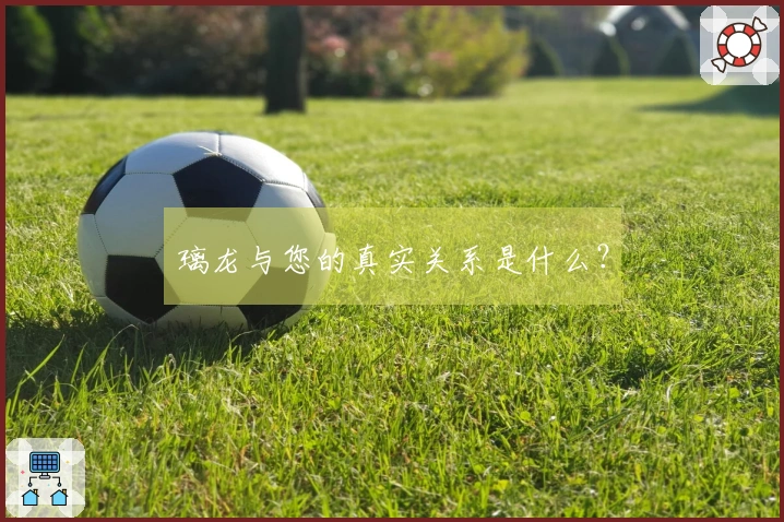 璃龙与您的真实关系是什么？